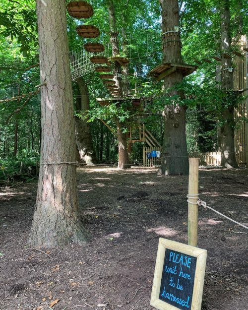 Go Ape - Leeds Castle