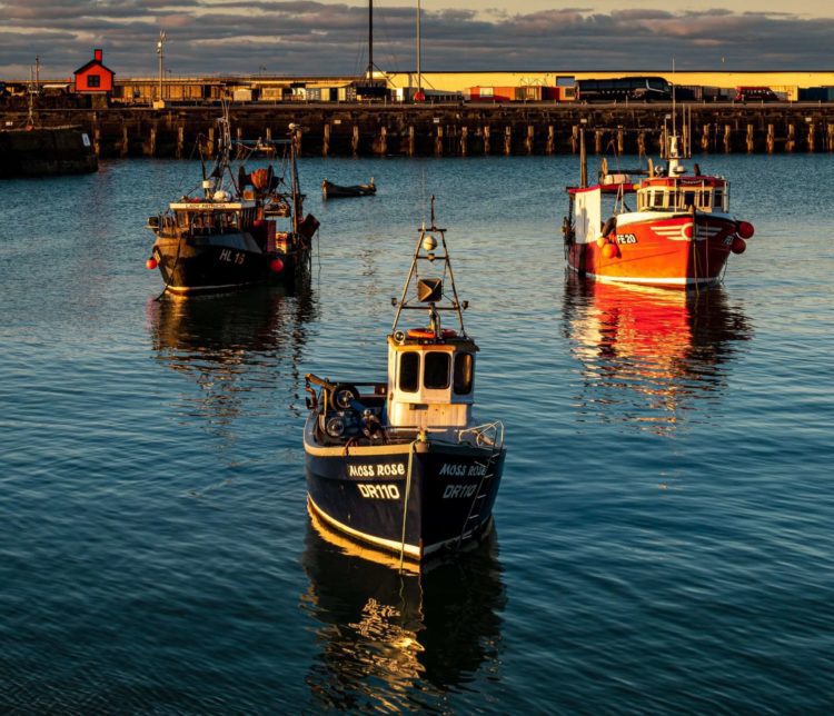 Sea habour