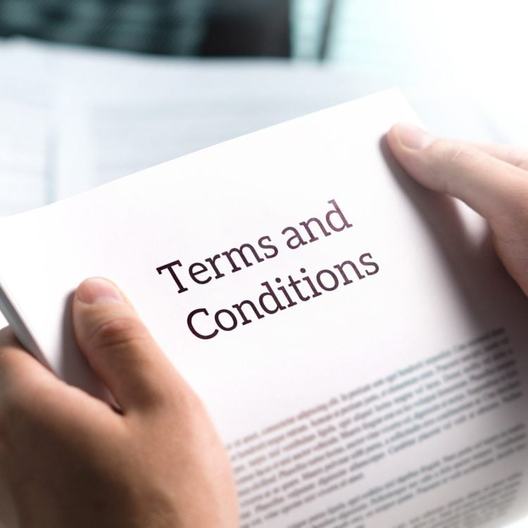 Christmas Terms and Conditions