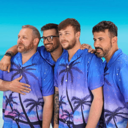 Beach Boys Tribute Night