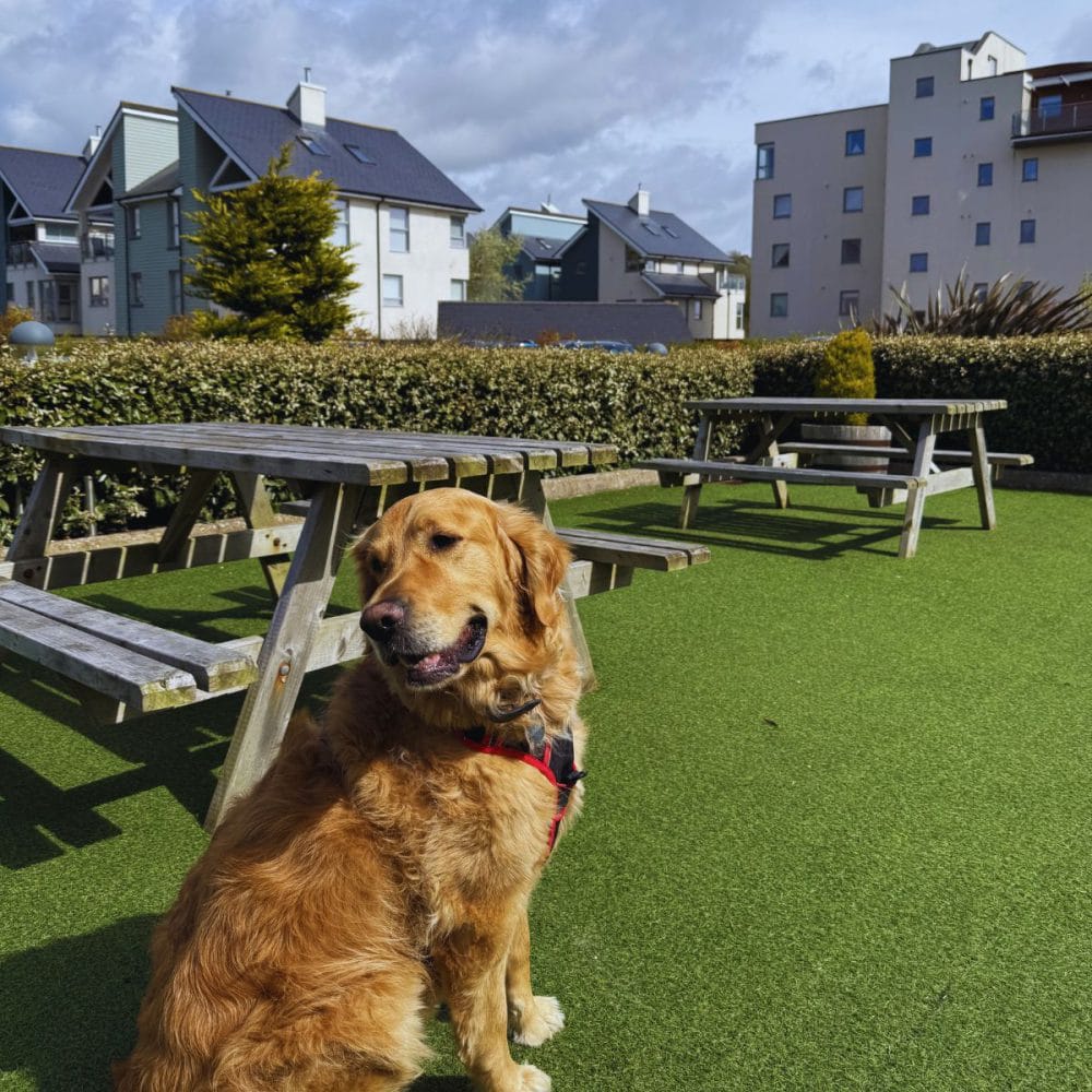 Beer Garden - Hythe Imperial Hotel