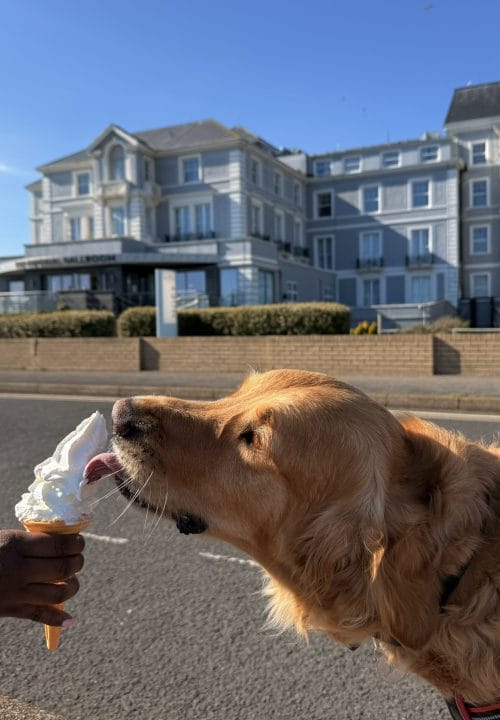 Spring has sprung at the Hythe Imperial Hotel
