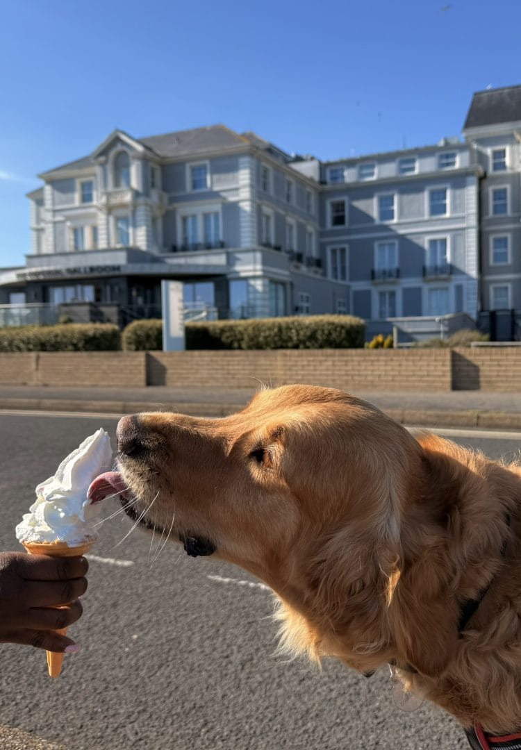 Spring has sprung at the Hythe Imperial Hotel